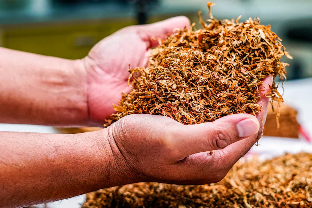 The Rise of Nicotine Pouches: What You Need to Know