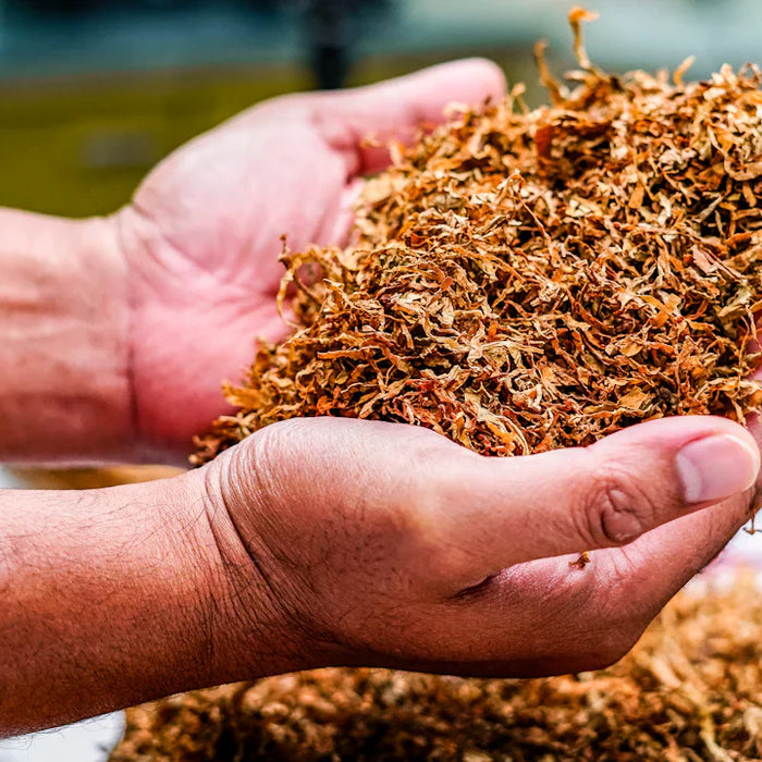 The Rise of Nicotine Pouches What You Need to Know