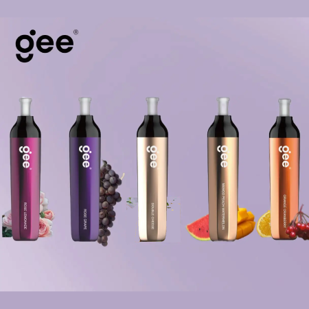 GEE 600 Disposable Vape By Elf Bar - vapesdirect